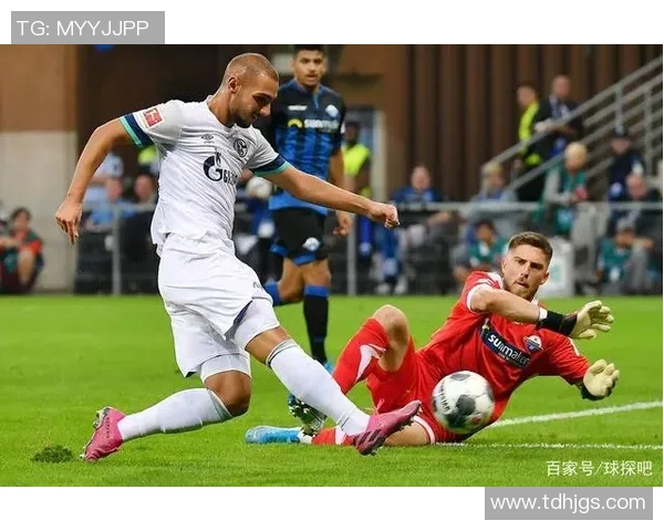 球探今日分析帕德伯恩对阵汉堡比赛前瞻与情报分享