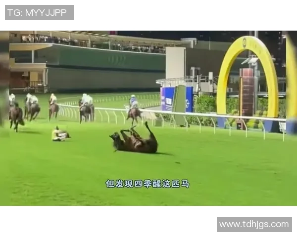 伦敦奥运马术冠军与爱驹双双安乐死，二十余年相伴降服国际赛场